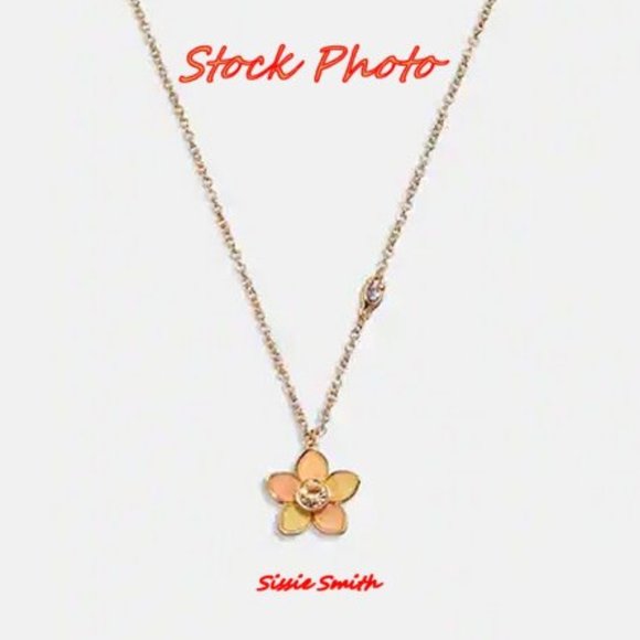 NWT Coach Transparent Wildflower Necklace - Picture 3 of 6